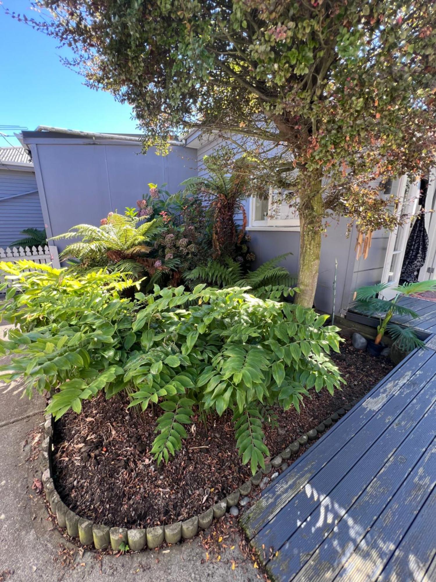 Gorgeous Villa, 7 Minutes From Airport Christchurch Exterior foto